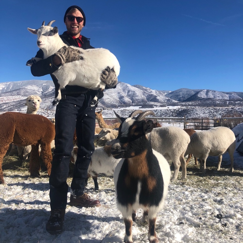 Meet your Posher, Hayden